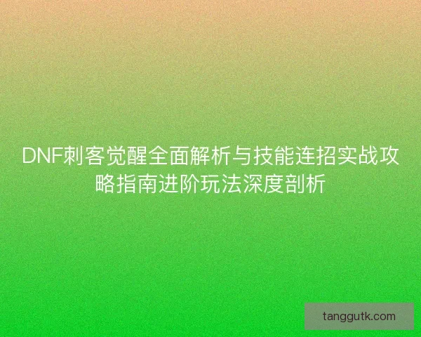 DNF刺客觉醒全面解析与技能连招实战攻略指南进阶玩法深度剖析 DNF刺客觉醒全面解析与技能连招实战攻略指南进阶玩法深度剖析