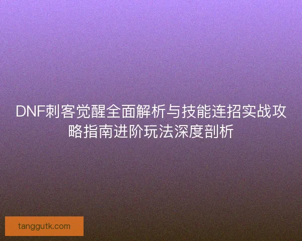 DNF刺客觉醒全面解析与技能连招实战攻略指南进阶玩法深度剖析